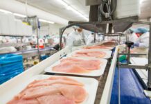Food security is security: AVEC calls for fewer barriers and fair competition for European poultry