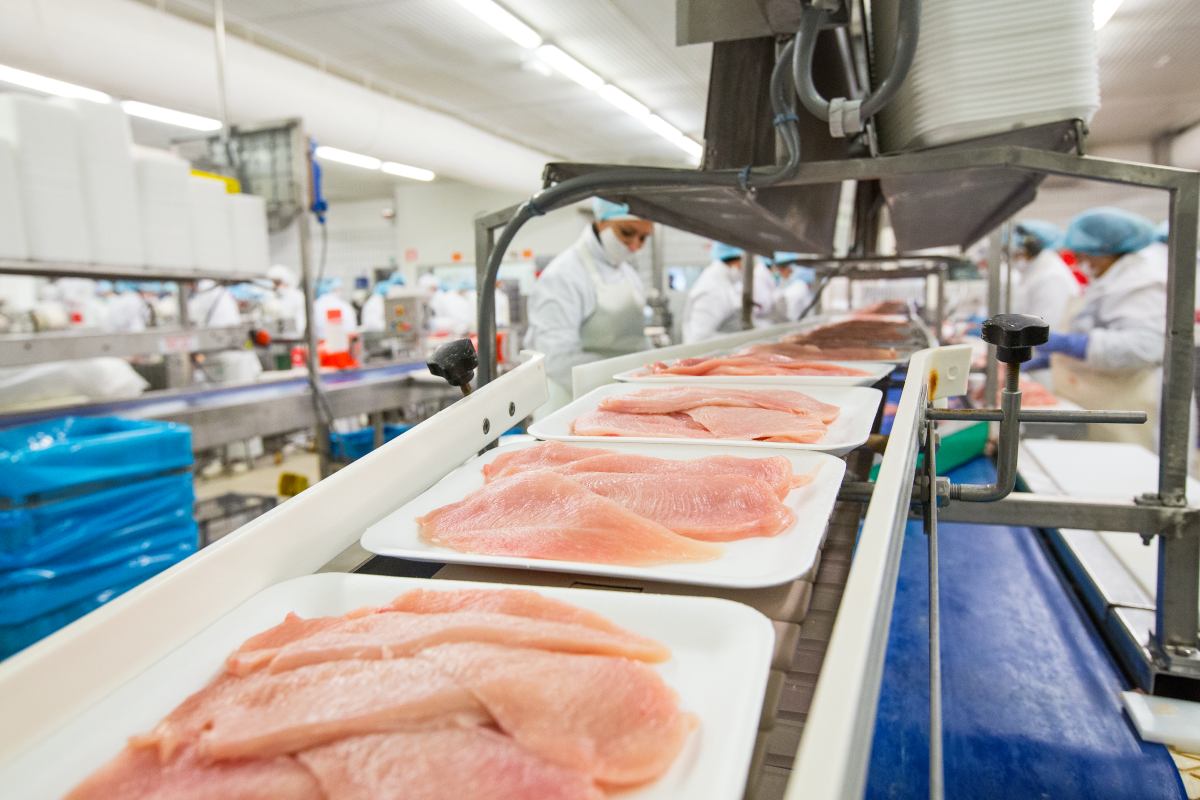 Food security is security: AVEC calls for fewer barriers and fair competition for European poultry