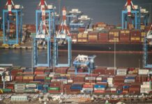 EU suspension puts Brazilian animal-protein exports at risk