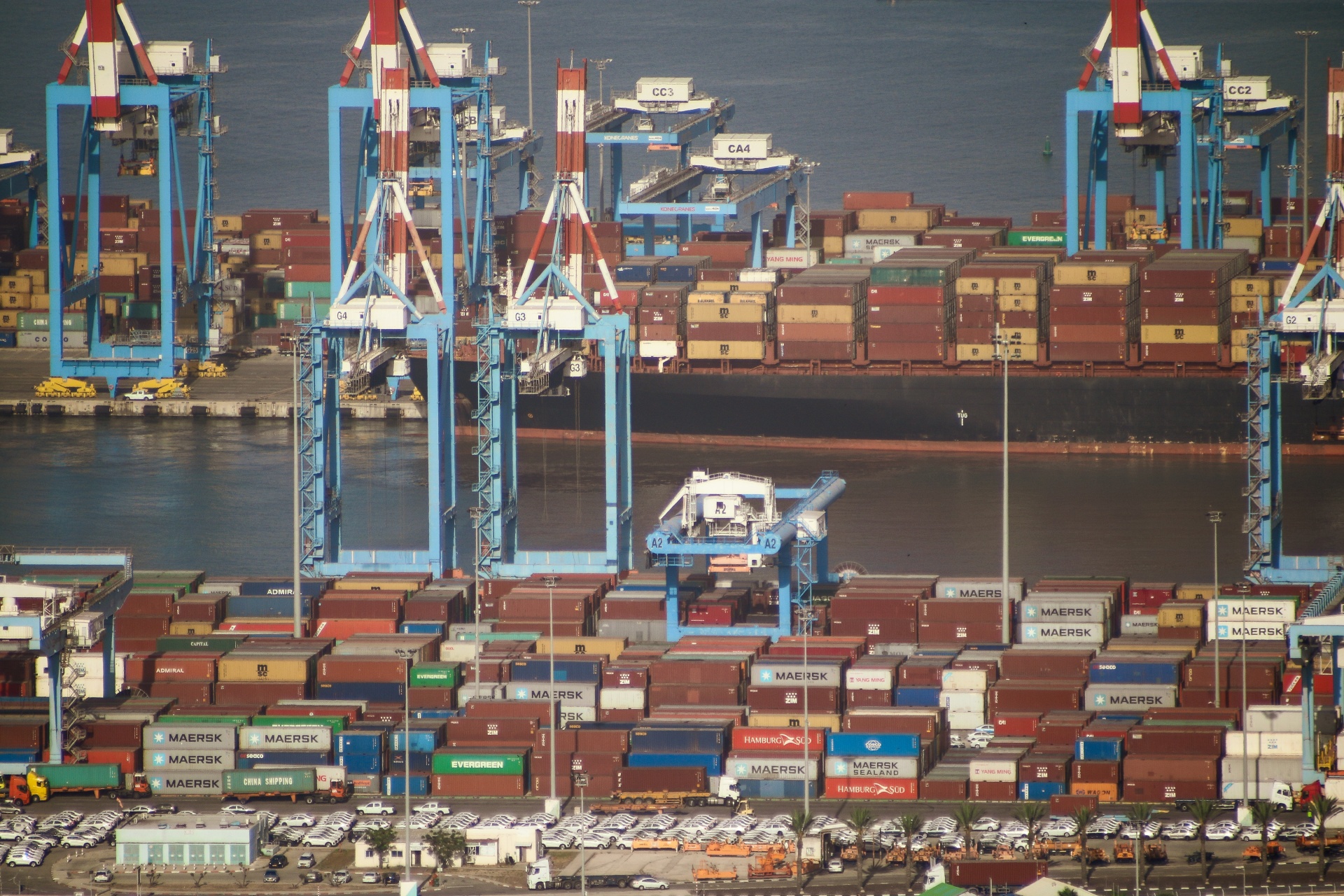 EU suspension puts Brazilian animal-protein exports at risk