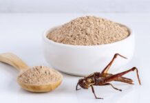 Insect meals in poultry nutrition: nutritional opportunities and challenges still to overcome