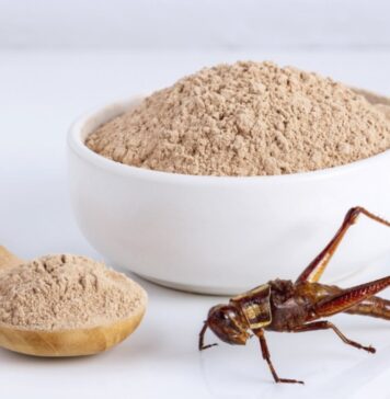 Insect meals in poultry nutrition: nutritional opportunities and challenges still to overcome