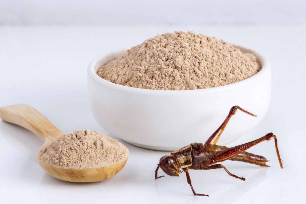 Insect meals in poultry nutrition: nutritional opportunities and challenges still to overcome
