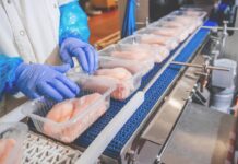 EU chicken meat production forecast to reach 13 million tonnes in 2027