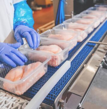 EU chicken meat production forecast to reach 13 million tonnes in 2027