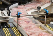 The role of the G20 group in global meat production and trade. Part 4: trade between member countries