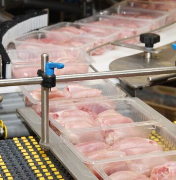 The role of the G20 group in global meat production and trade. Part 4: trade between member countries