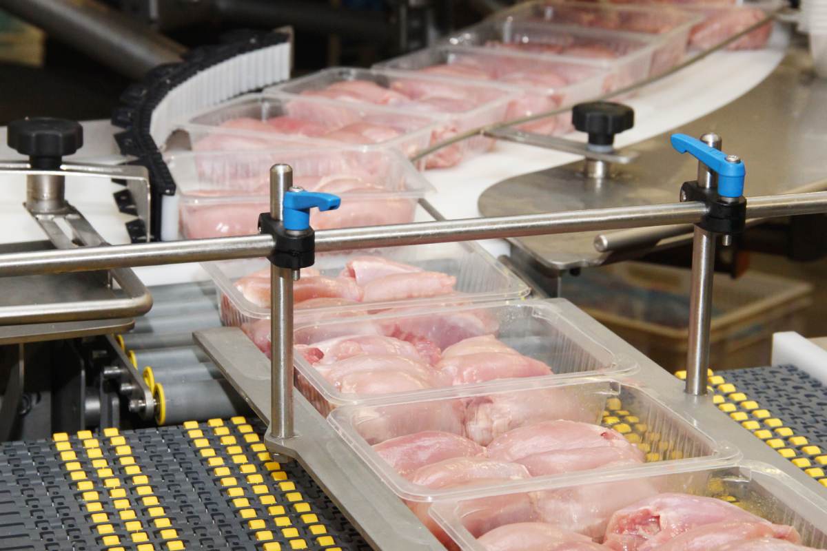 The role of the G20 group in global meat production and trade. Part 4: trade between member countries
