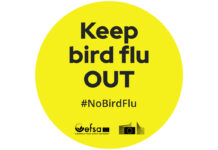 #NoBirdFlu: EFSA and European Commission announce practical resources to reduce bird flu risk