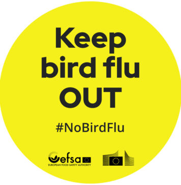 #NoBirdFlu: EFSA and European Commission announce practical resources to reduce bird flu risk