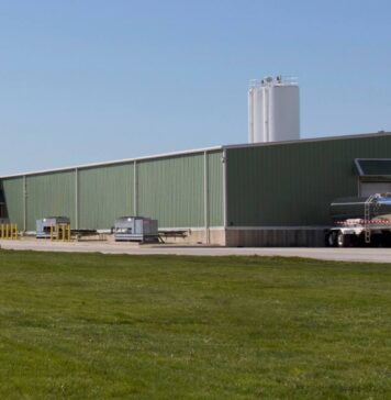 Poultry growth forecast rises to 3.5%, but oversupply weighs on prices