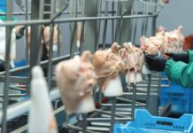 China’s poultry industry is redefining its role in the global value chain