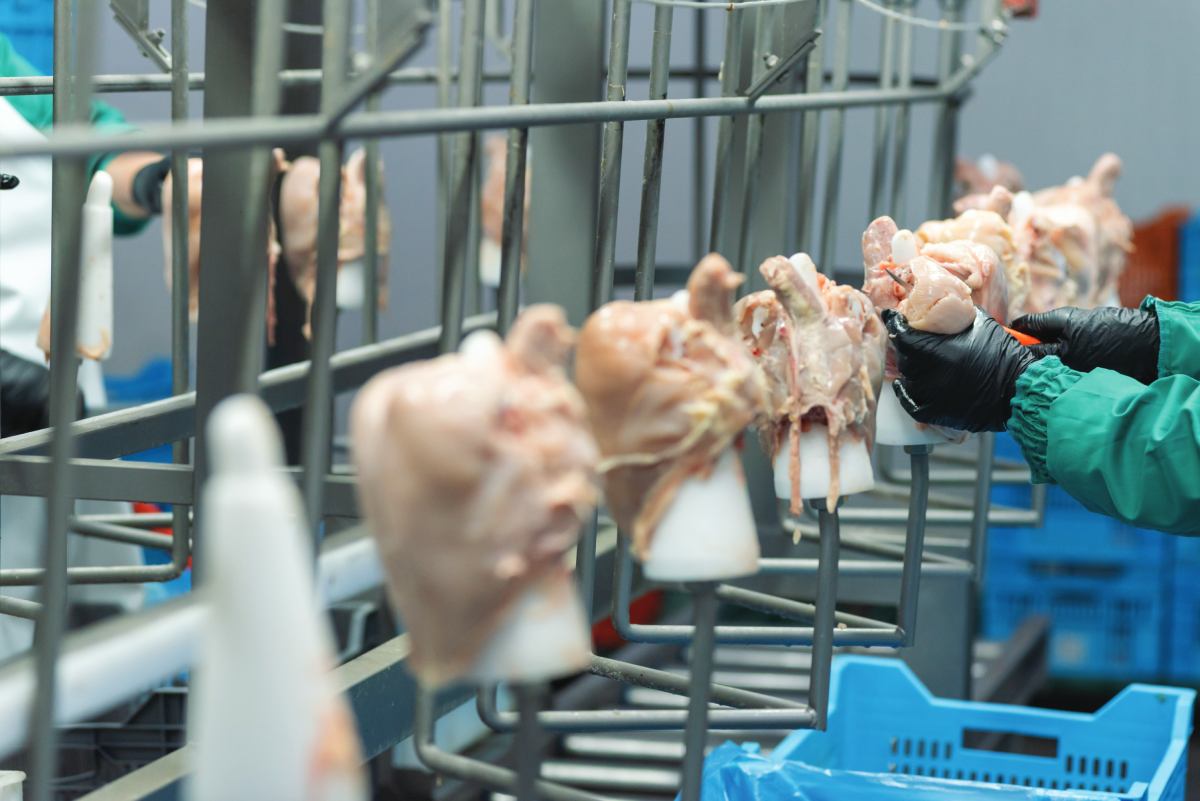 China’s poultry industry is redefining its role in the global value chain