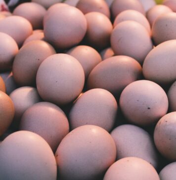 APHA urges vigilance as Salmonella threat persists in Great Britain