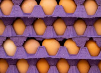 Japan’s egg prices at record highs amid rising feed costs and avian influenza concerns