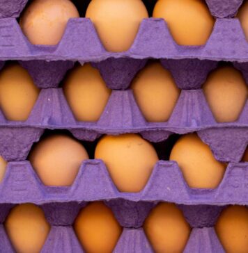 Japan’s egg prices at record highs amid rising feed costs and avian influenza concerns
