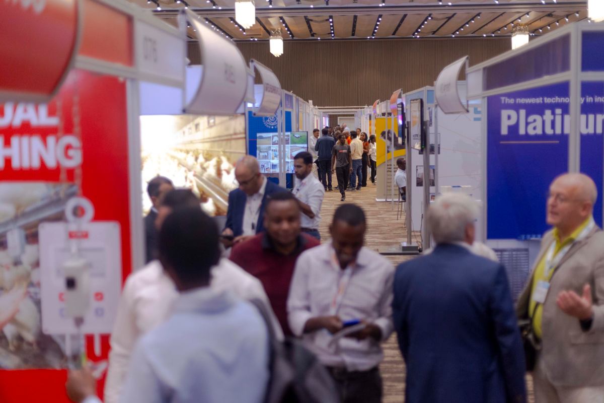 VIV Africa 2026 show preview: poultry innovation, dairy growth, and industry expertise take center stage in Kigali